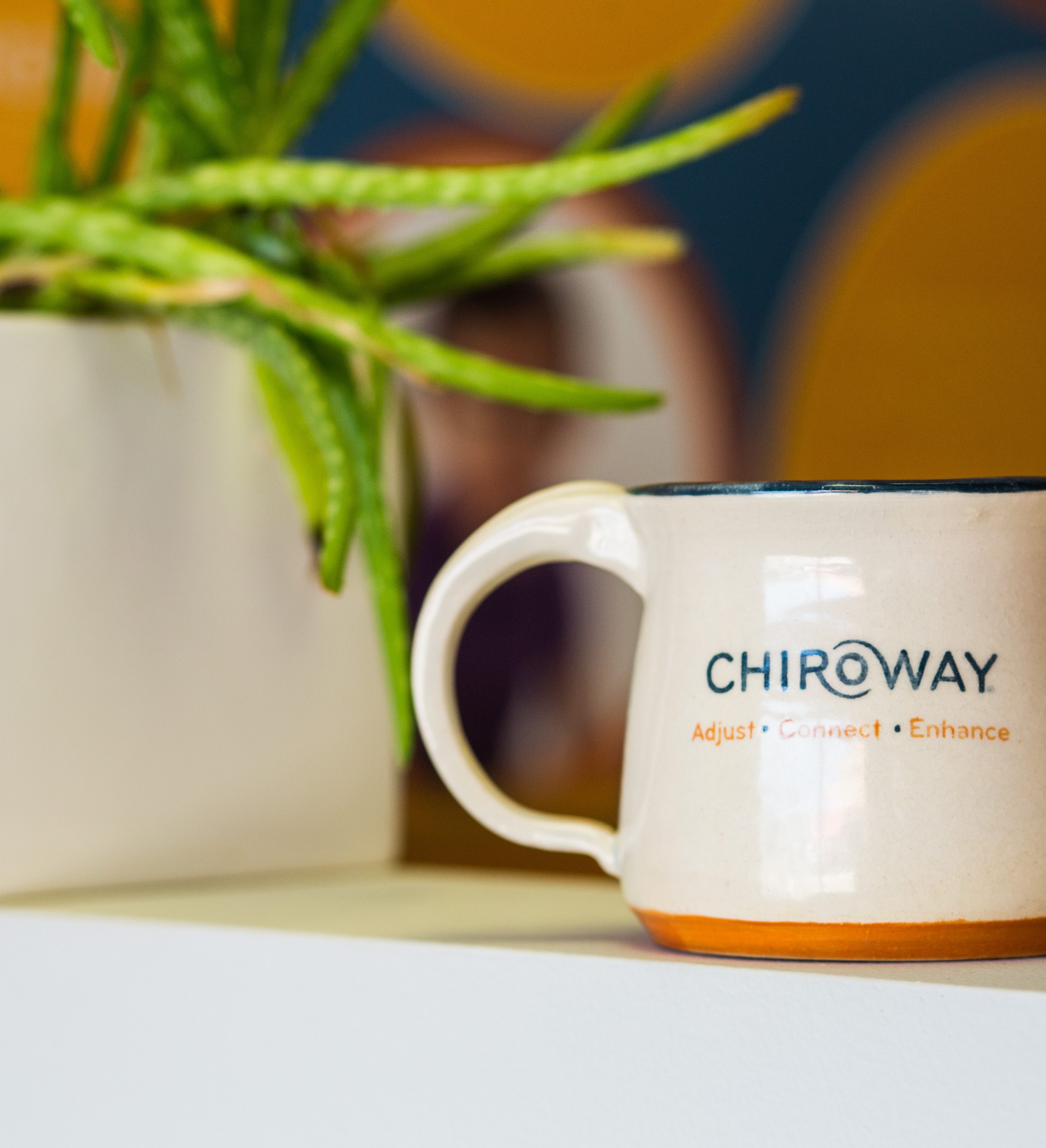 ChiroWay Franchise Process